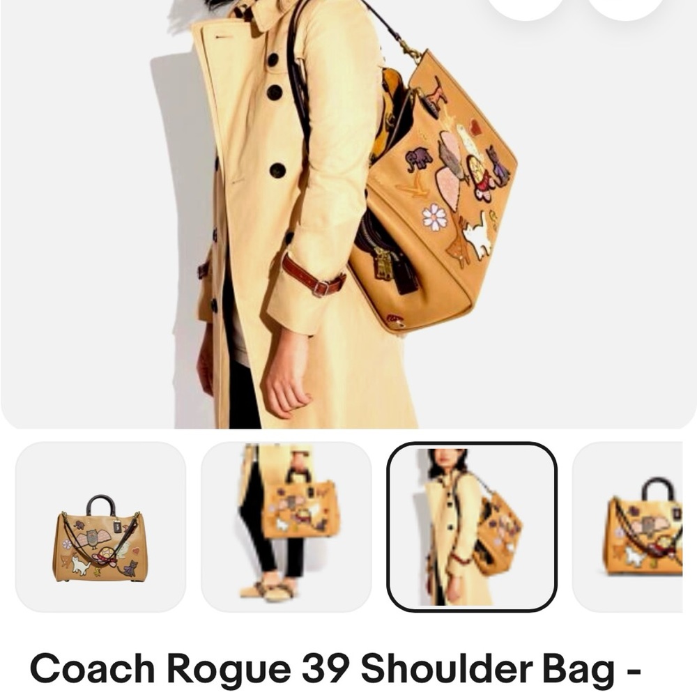 Coach Rogue 39